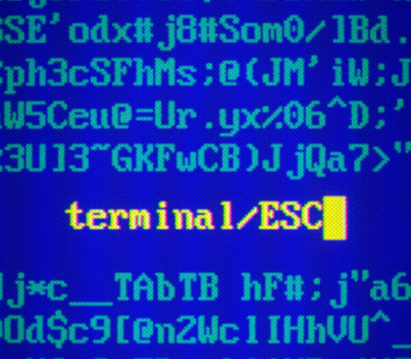 Terminal ESC PC Steam Ключ