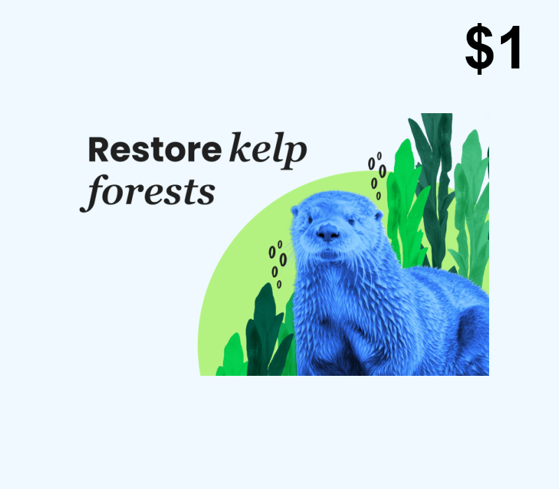 Dots.eco - Restore Kelp Forests USD 1 Подарочная карта US