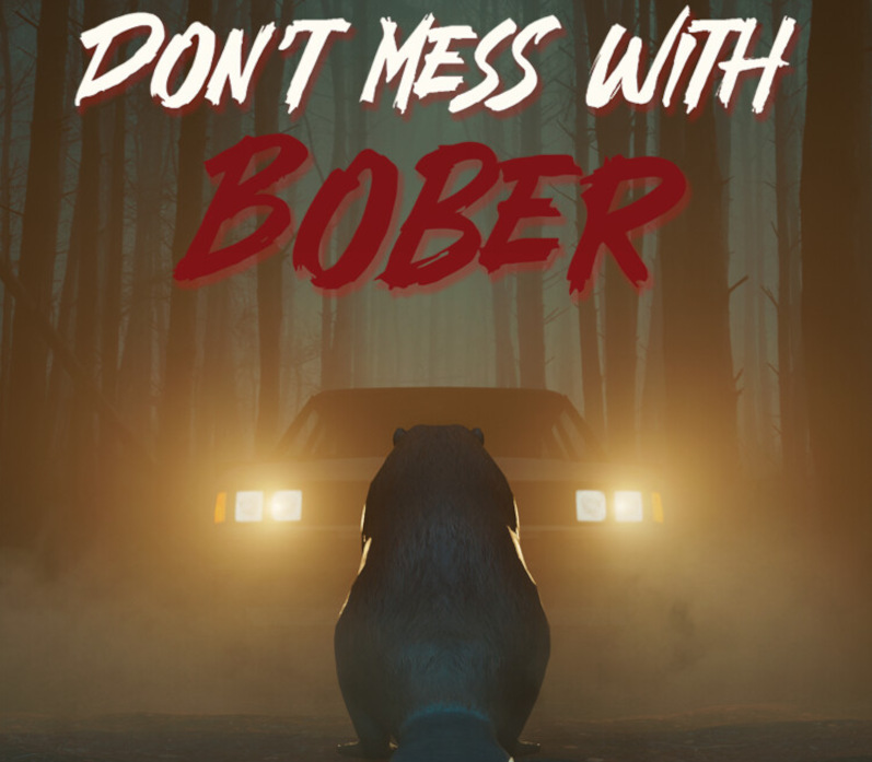 Don't Mess With Bober PS5 Аккаунт