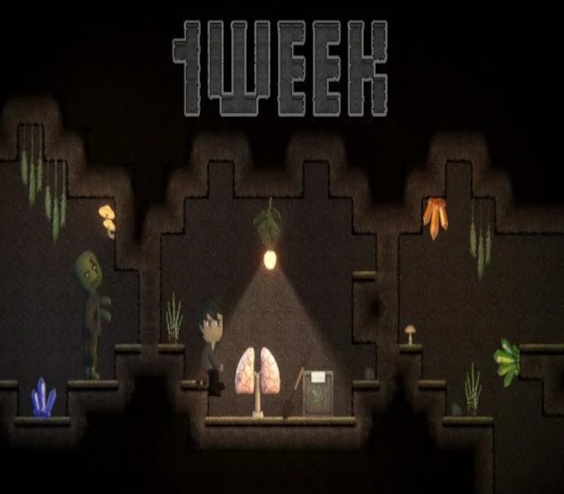 1WEEK Steam Ключ