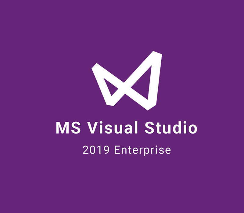MS Visual Studio 2019 Enterprise Ключ