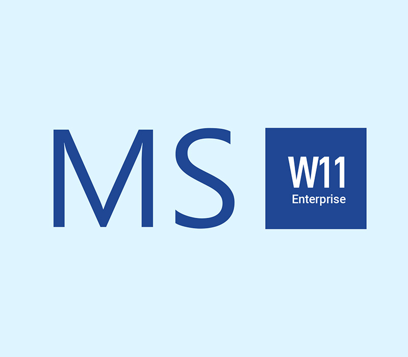 Windows 11 Enterprise Ключ