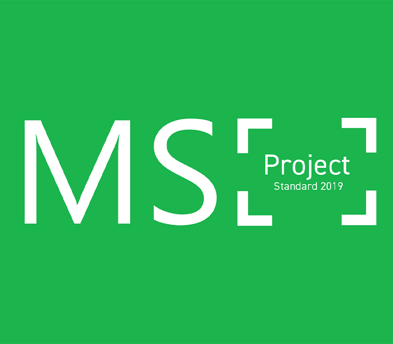 MS Project Standard 2019 Ключ