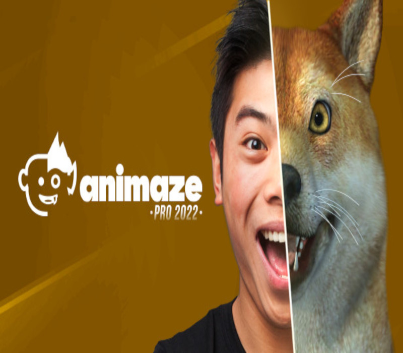 Animaze Pro 22 - Lifetime License DLC Steam Ключ