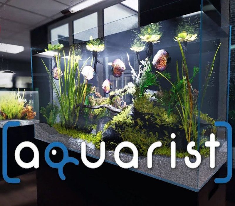 Aquarist PC Steam Ключ