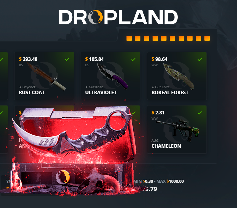 Covert VS. Knife Random CS2 Skin Case Dropland.net Ключ