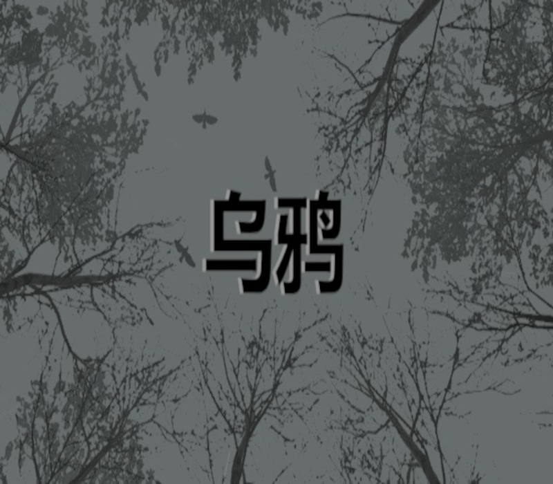 Crows - 乌鸦 PC Steam Ключ