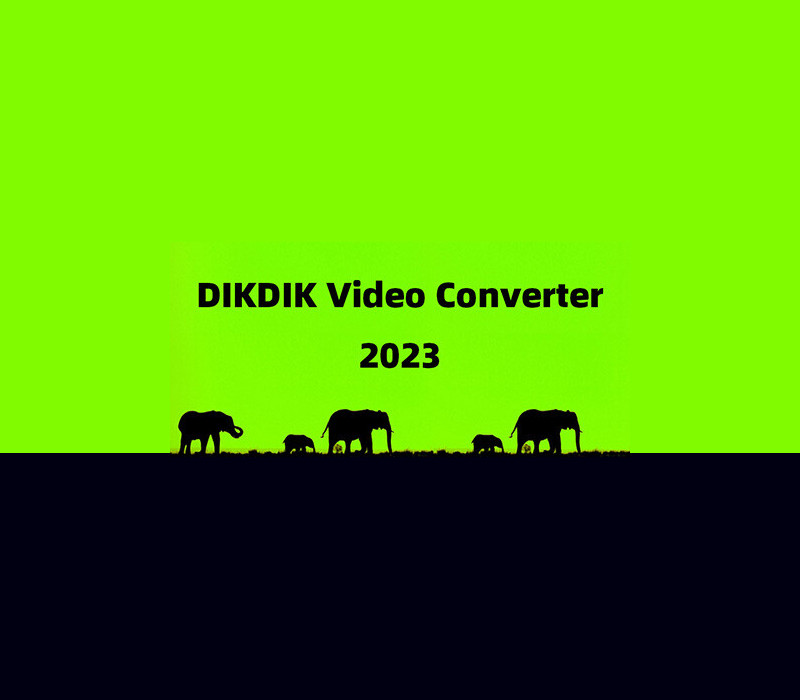 DIKDIK Video Converter Steam Ключ