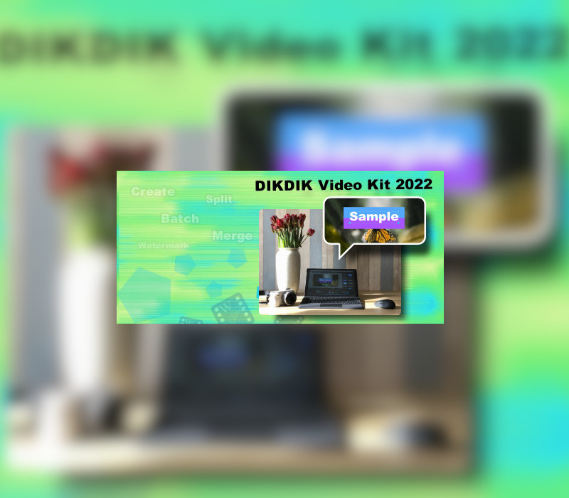 DIKDIK Video Kit 2022 Steam Ключ
