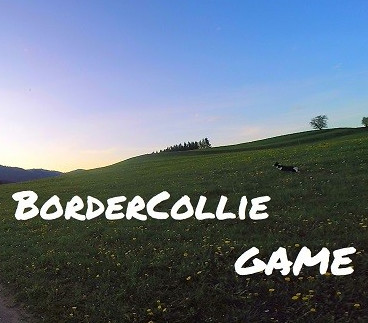 BorderCollie Game Steam Ключ