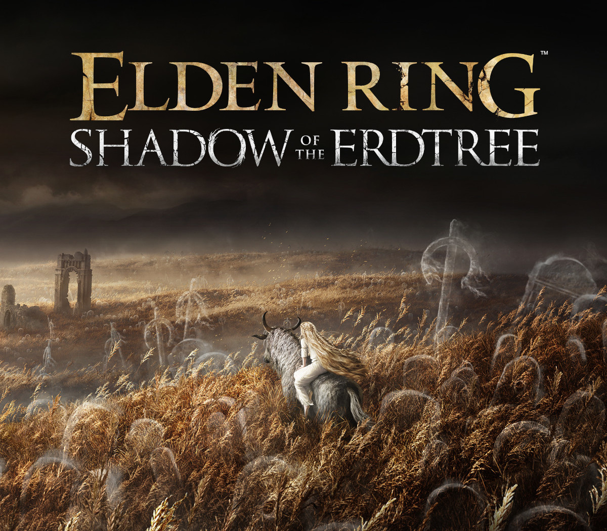 ELDEN RING - Shadow of the Erdtree DLC EU (without DE) PS5 CD Key