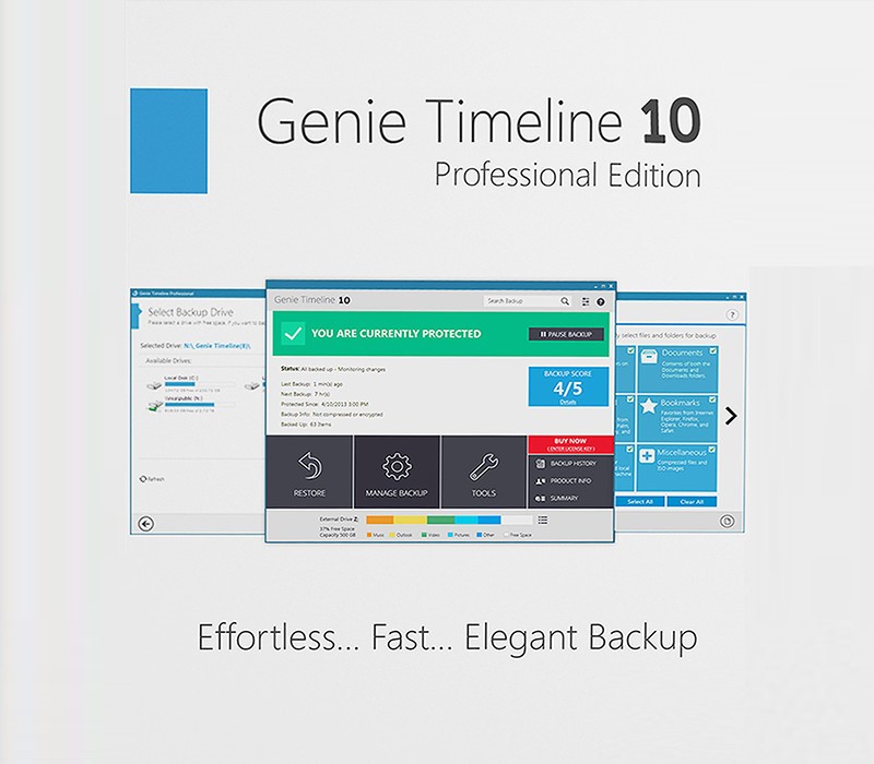 Genie Timeline Professional 10 Ключ