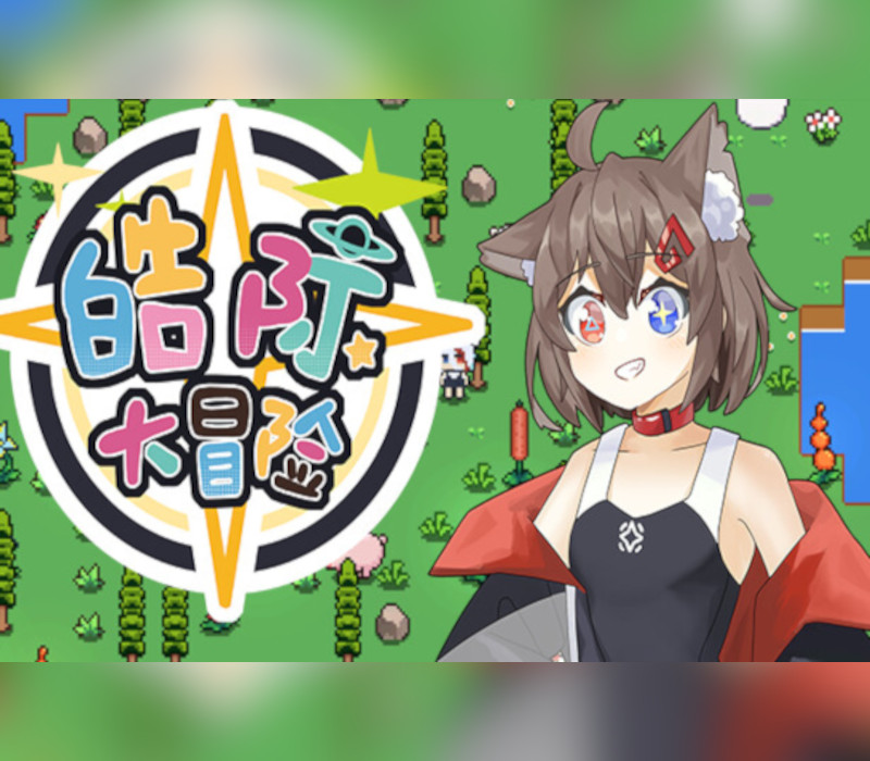 HG Adventure Steam Ключ