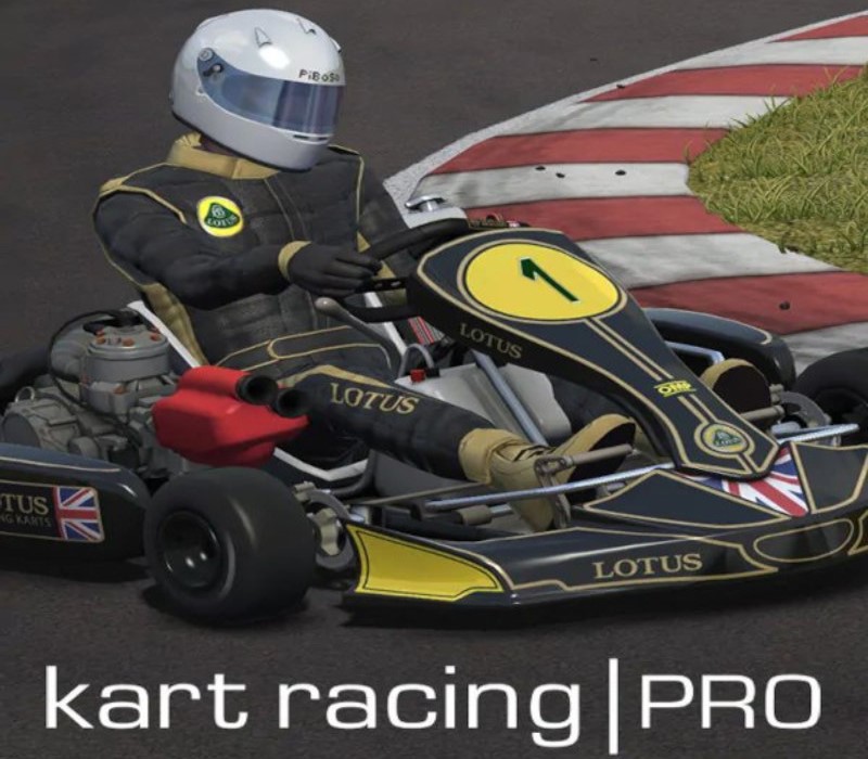 Kart Racing Pro PC Steam Аккаунт