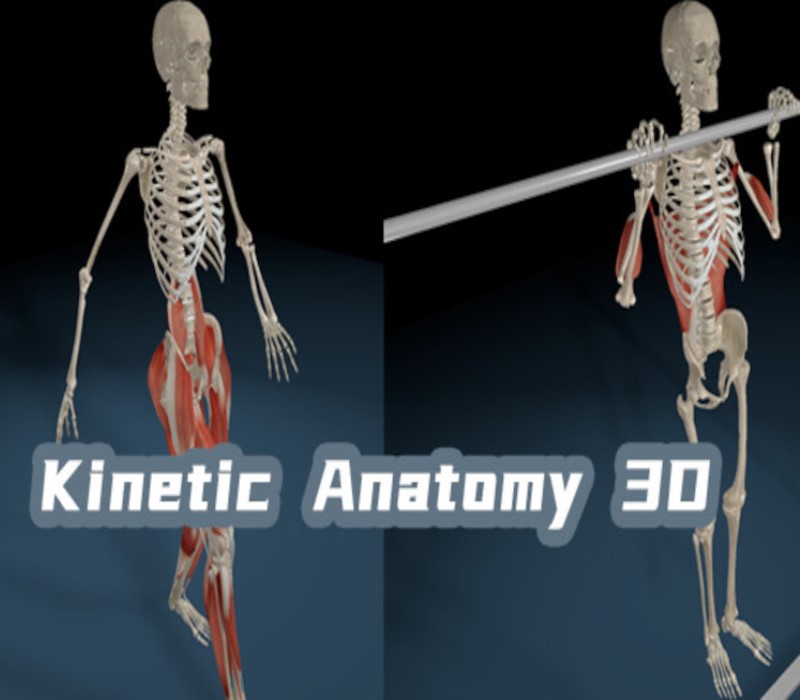 Kinetic Anatomy 3D PC Steam Ключ