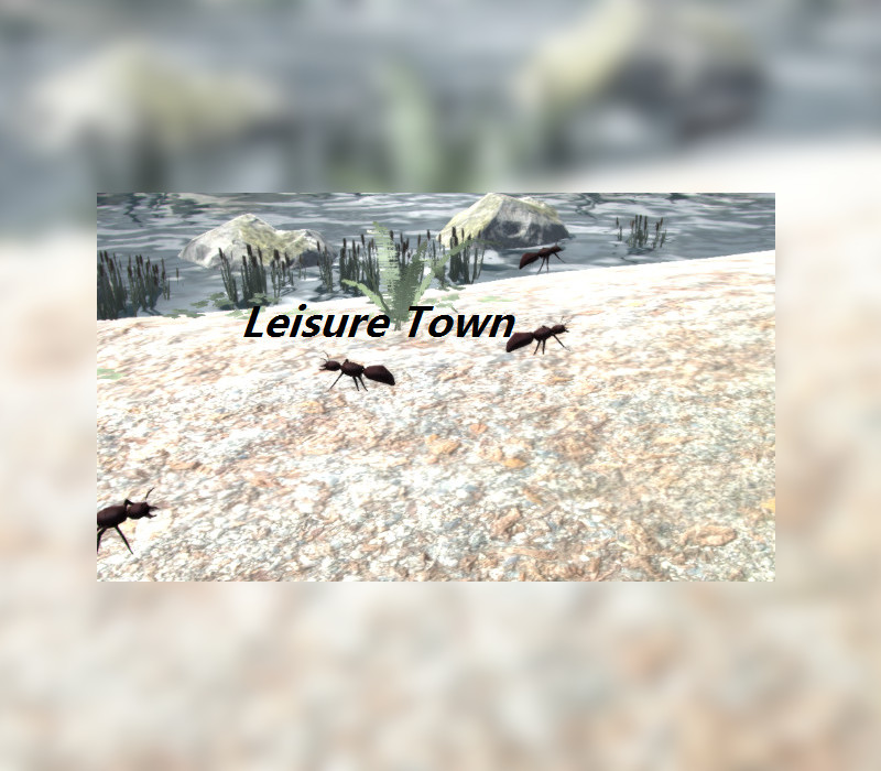 Leisure Town Steam Ключ