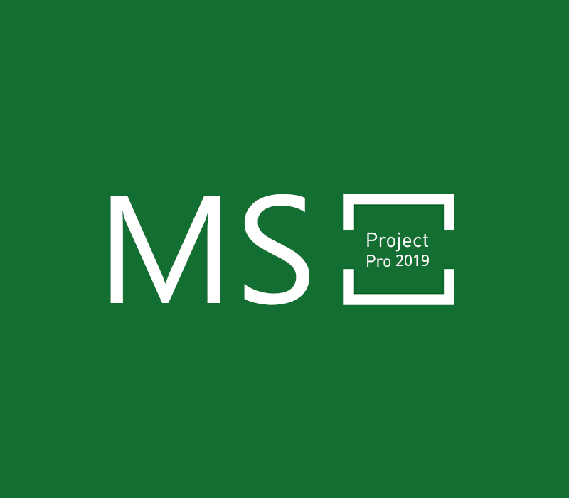 MS Project Professional 2019 Bind Key