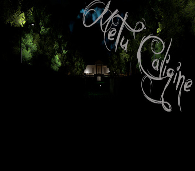 Metu Caligine PC Steam Ключ