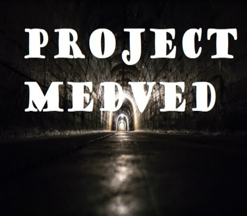 Project Medved Steam Ключ