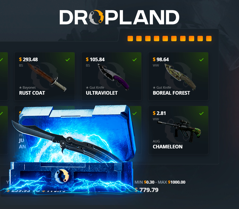 RESTRICTED VS. BUTTERFLY KNIFE Random CS2 Skin Case Dropland.net Ключ