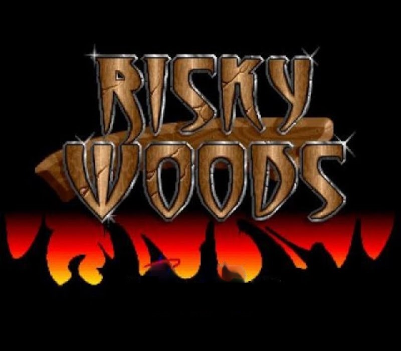 Risky Woods Steam Ключ