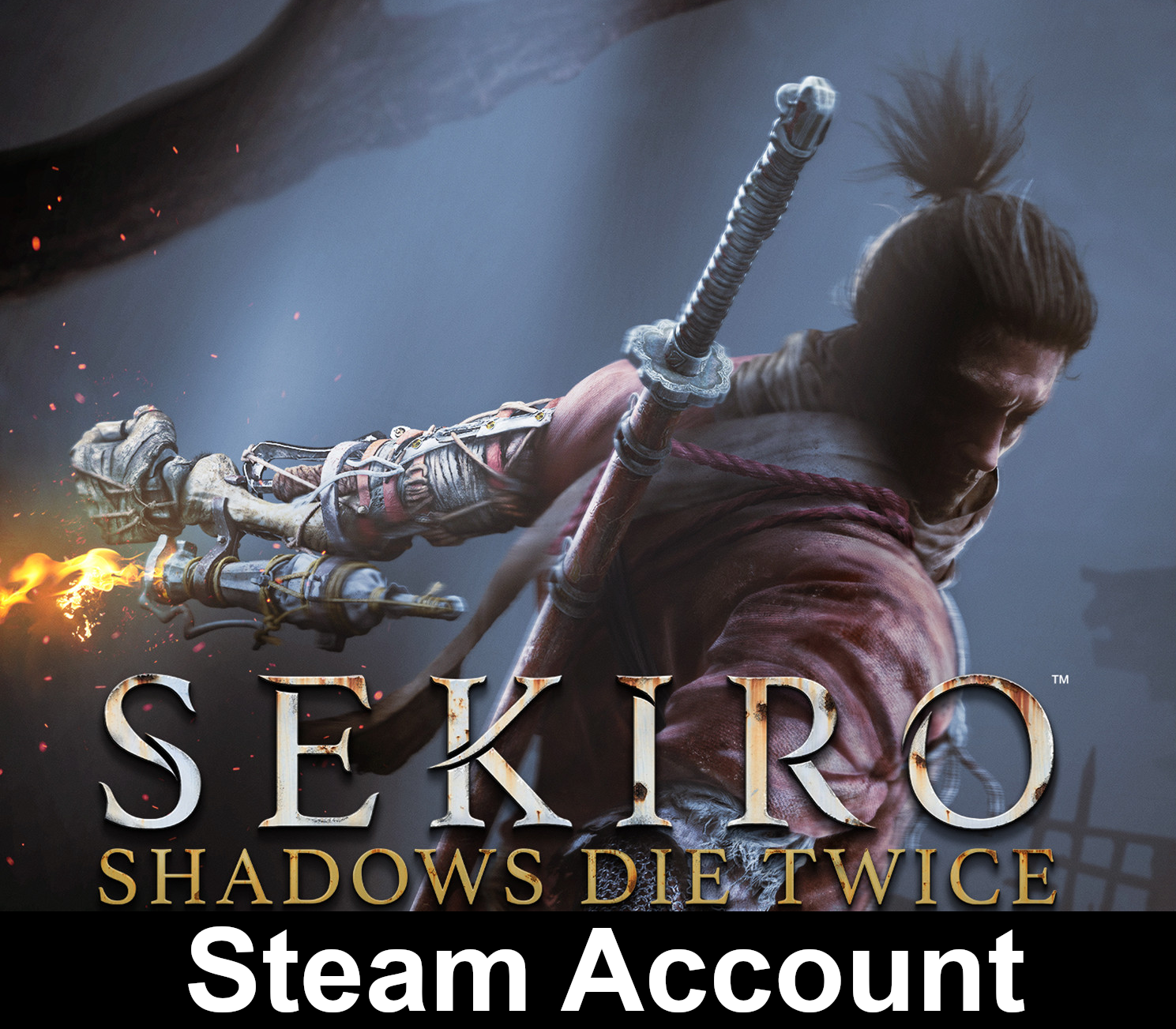 Sekiro: Shadows Die Twice Steam Account