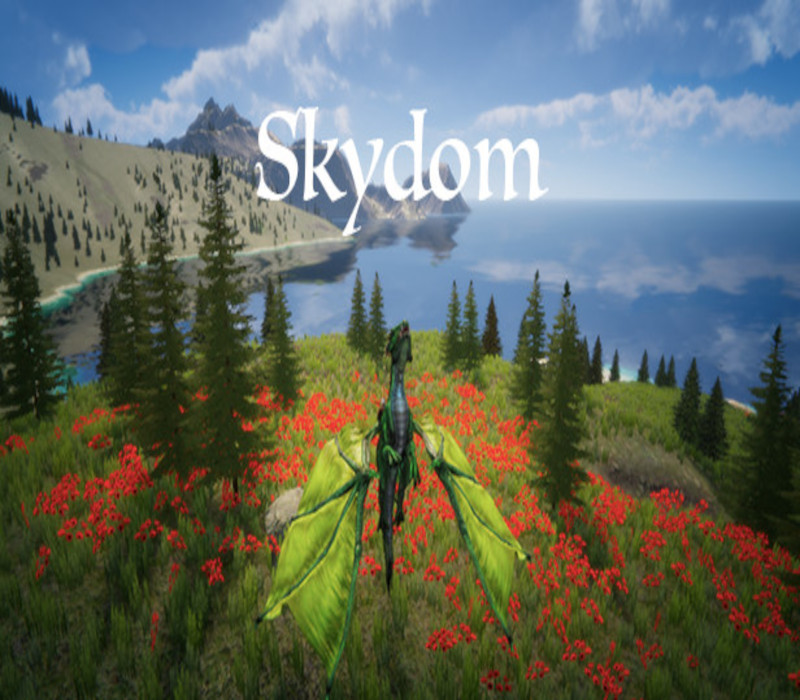 Skydom Steam Ключ
