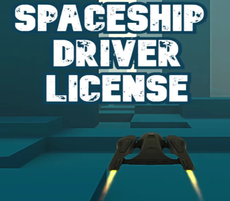 Spaceship Driver License Steam Ключ