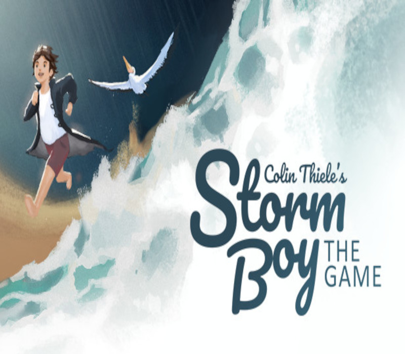 Storm Boy Steam Ключ