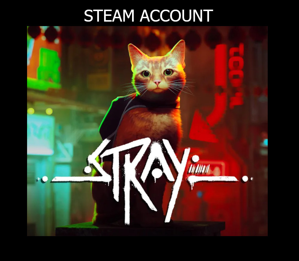 Stray Steam Account