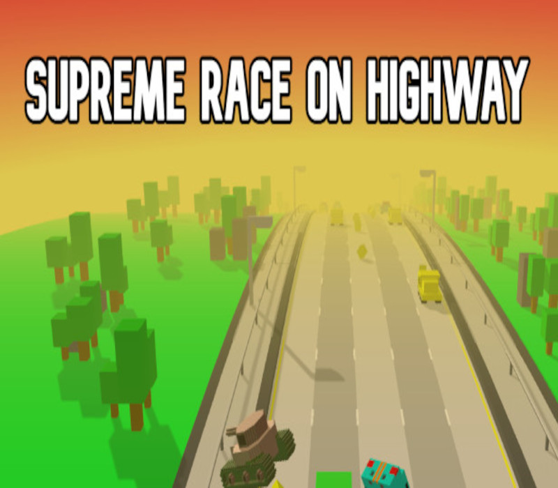 Supreme Race on Highway Steam Ключ