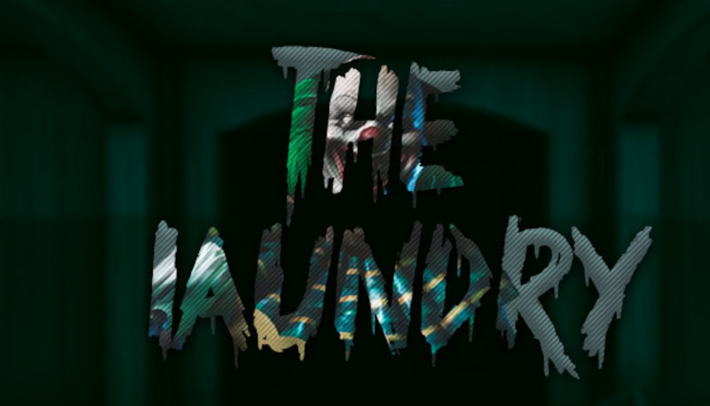 The Laundry Steam Ключ