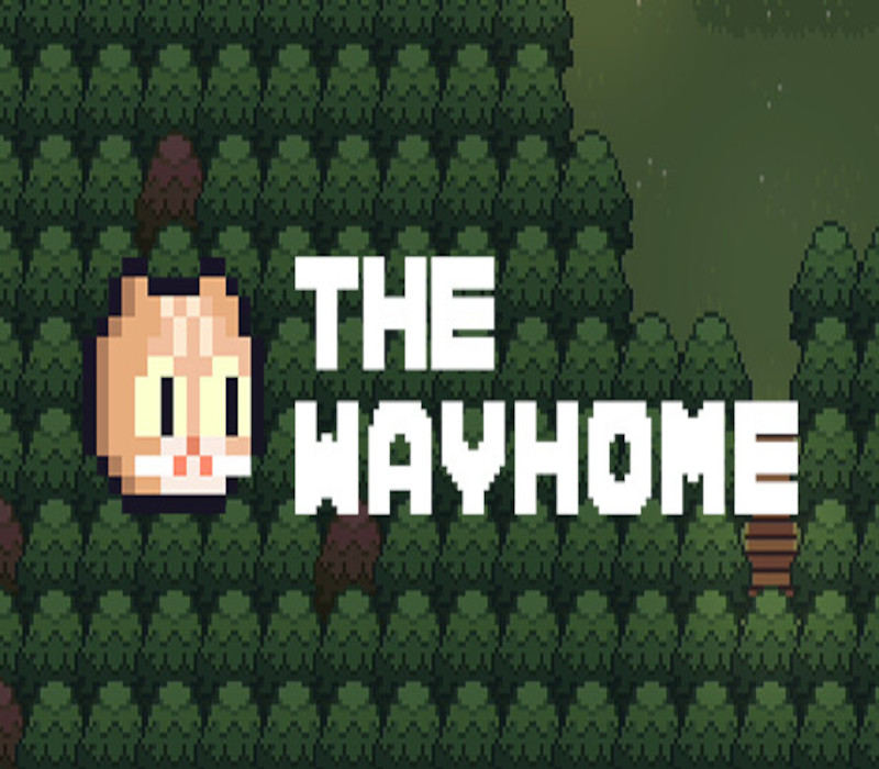 The Way Home: Pixel Roguelike Steam Ключ