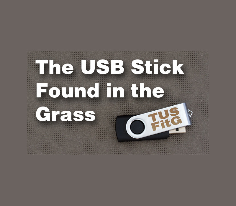 The USB Stick Found in the Grass Steam Ключ