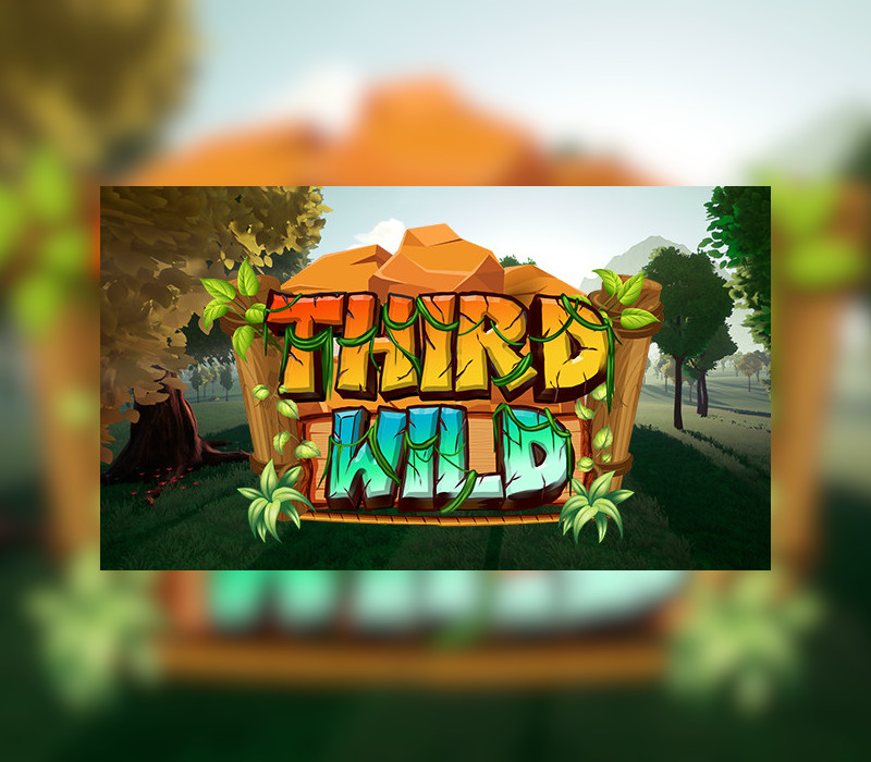 Third Wild Steam Ключ