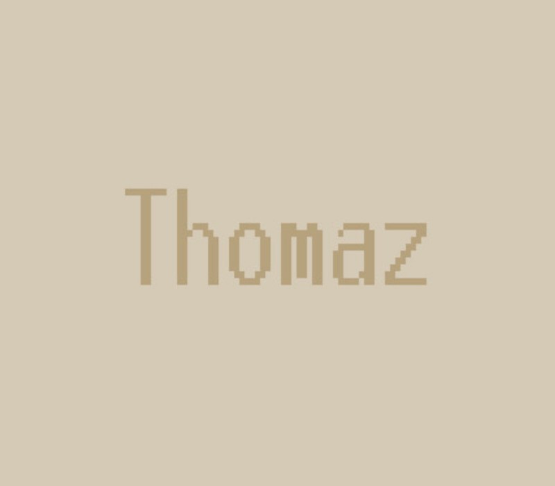Thomaz Steam Ключ