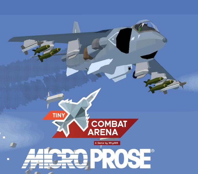 Tiny Combat Arena Steam Ключ