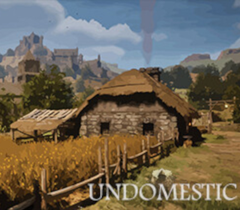 Undomestic Steam Ключ