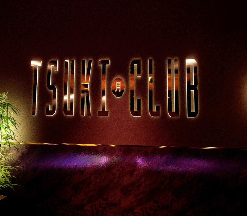 VR Paradise - Tsuki Club DLC Steam Ключ