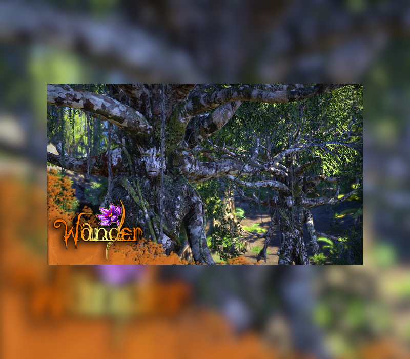 Wander Steam Подарок