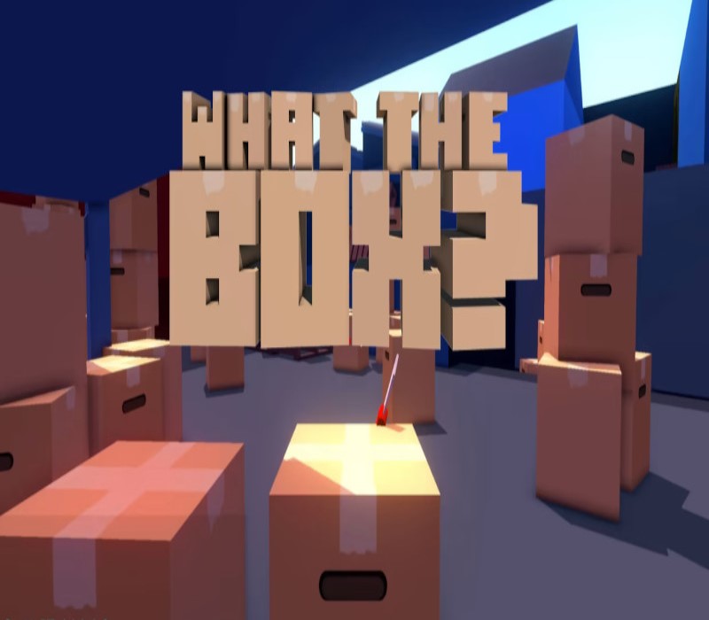 What The Box? Steam Ключ