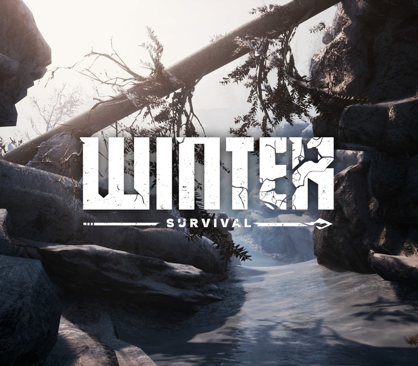 Winter Survival Steam Аккаунт