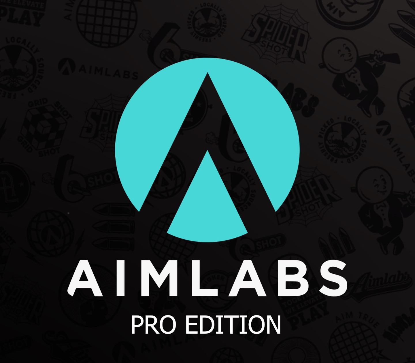 Aimlabs Professional издание XBOX One / Xbox Series X|S Аккаунт