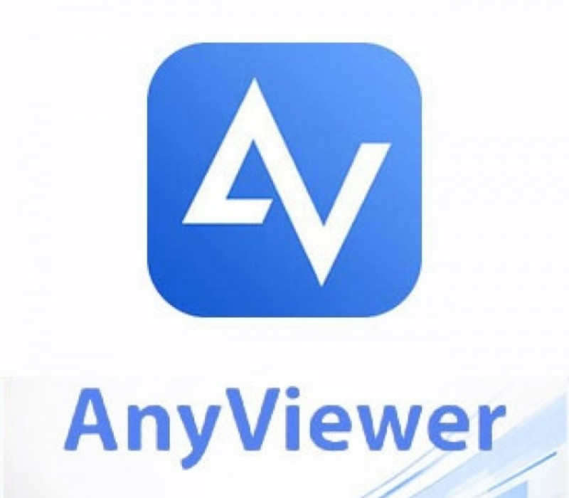 AnyViewer Professional издание 2025 Ключ (1 Year / 1 Device)