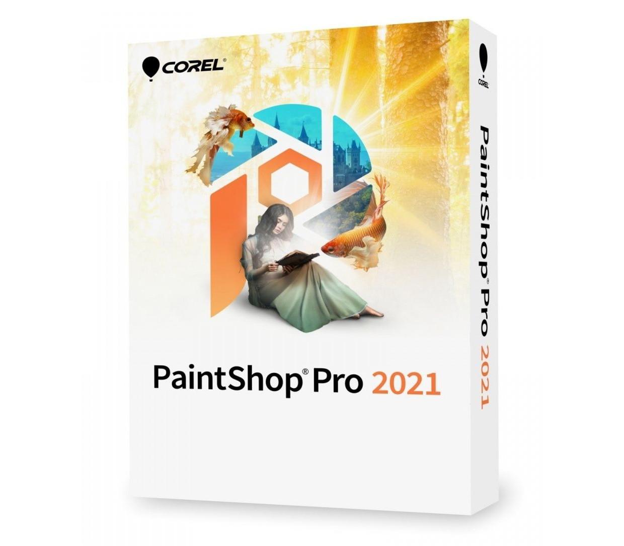 Corel PaintShop Pro 2021 Ключ