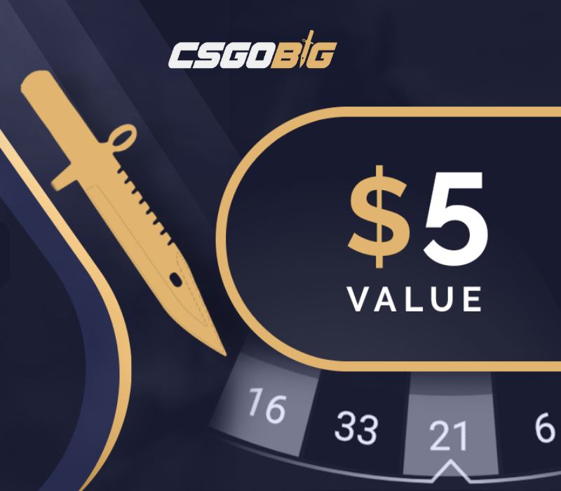 CSGOBIG $5 Подарочная карта