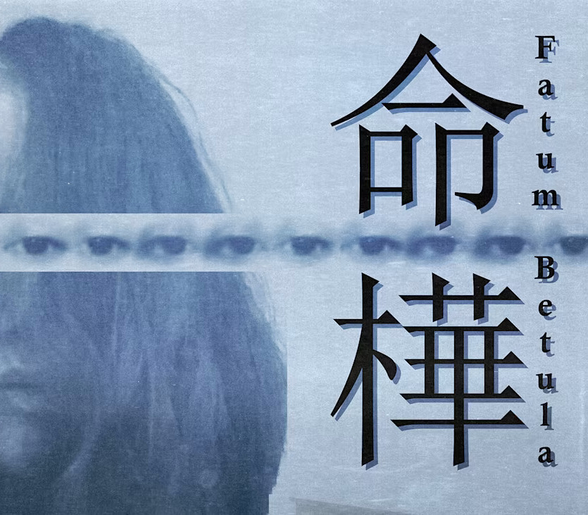 Fatum Betula EU XBOX Series X|S Ключ