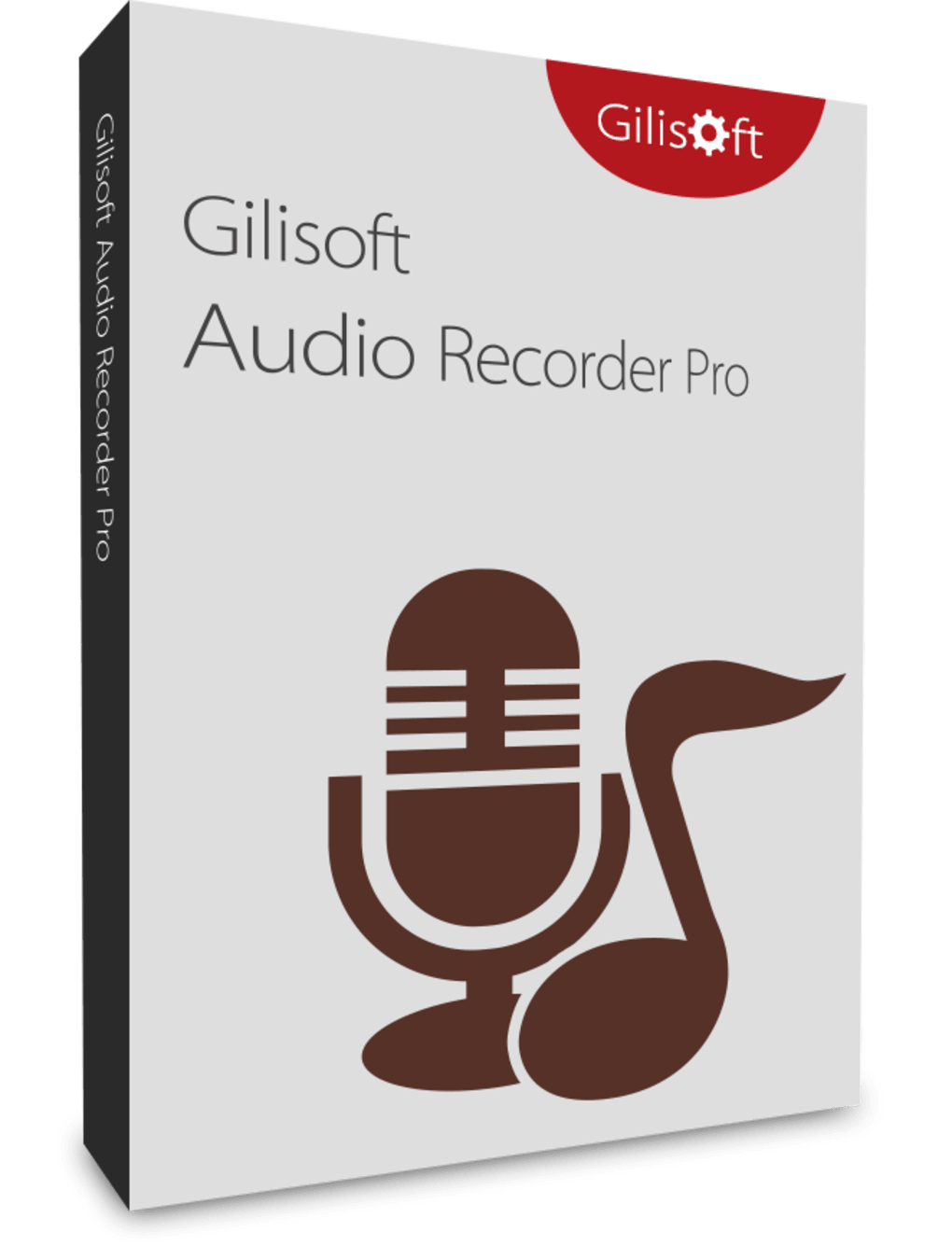 Gilisoft Audio Recorder Pro Ключ