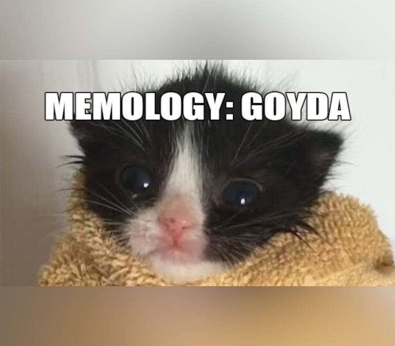 MEMOLOGY: GOYDA EU PC Steam Ключ
