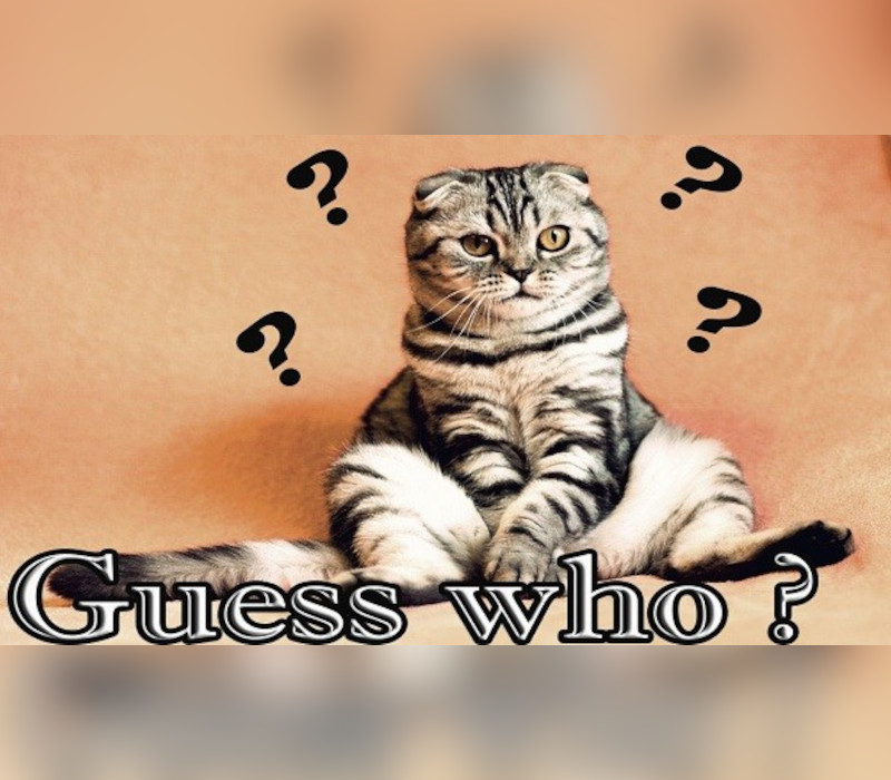 Guess who ? PC Steam Ключ